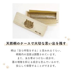 高級天然桐 猫のひげケース 猫 ペット 猫グッ...の詳細画像1