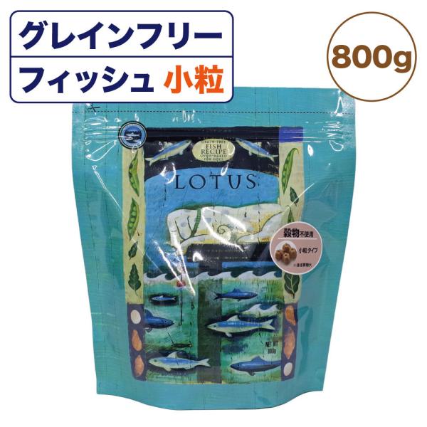 ロータス グレインフリー フィッシュレシピ 小粒 800g 穀物不使用 犬用 フード LOTUS ド...