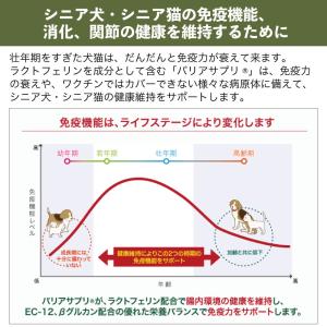 バリアサプリ ドッグ アダルト・シニア 90g...の詳細画像2