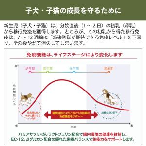 バリアサプリ キャット キトン・ ジュニア 9...の詳細画像2
