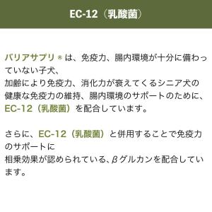 バリアサプリ キャット キトン・ ジュニア 9...の詳細画像5