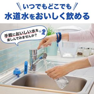 DAFI ダフィ 浄水ボトル用 浄水器 浄水 ...の詳細画像2