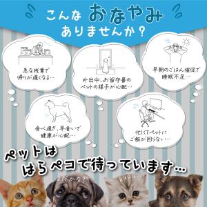 猫 犬 自動給餌器 カメラ付き 見守り カメラ...の詳細画像4
