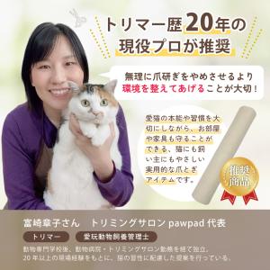 ピタッと貼れる 猫 爪とぎ シート 爪研ぎ ひ...の詳細画像2