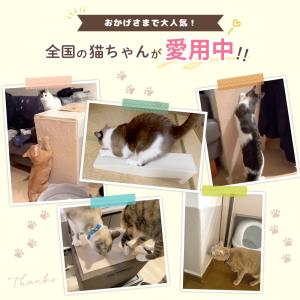 ピタッと貼れる 猫 爪とぎ シート 爪研ぎ ひ...の詳細画像3