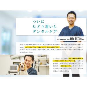 ドクターワンデルS 15g 犬の歯磨き粉 犬用...の詳細画像2