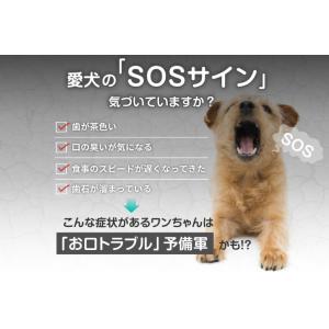 ドクターワンデルS 15g 犬の歯磨き粉 犬用...の詳細画像3