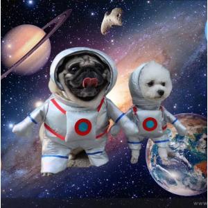 ハロウィン　宇宙服　コスプレ　可愛い　犬服 トイプードル チワワ　小型犬　子犬　超小型犬　小型犬　秋冬　服　