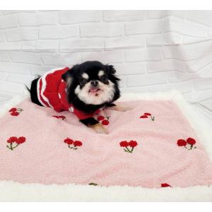 ペットラン PR-700 ［小型犬用運動器］ 全長1m10cm : サンセイヤフー