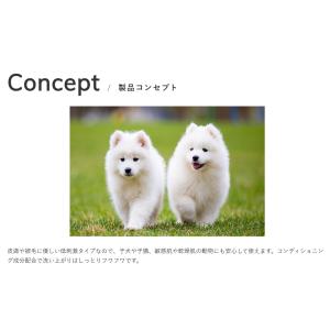 キリカン洋行 ノルバサンシャンプー0.5 23...の詳細画像2