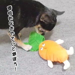 おやさい おもちゃ 犬 犬用 ぬいぐるみ ベジ...の詳細画像2