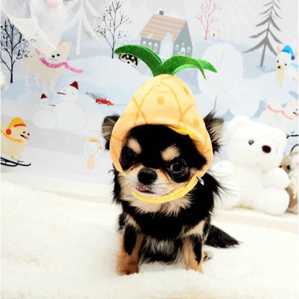 パイナップル帽子　いちご　犬　コスプレ　洋服　わんこ　大型犬　中型犬　小型犬　可愛い　面白い　被り物...