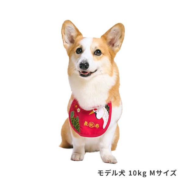 還暦スタイ 犬 猫 犬用 お祝い 10才 8才 還暦 中型犬 小型犬 お祝い 長寿 ペット用スタイ ...