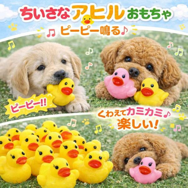 小さなあひるさん わんこのおもちゃ 犬のおもちゃ 小さい 犬 ペット 小型犬 子犬 小型犬用 チワワ...