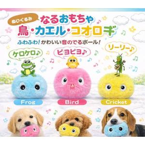 犬 デンタル おもちゃ オーマ・ロー 犬のおもちゃ オーマロー 歯みがき