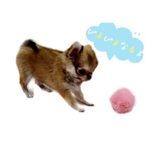 鳴るおもちゃ 犬 子犬 おもちゃ ぬいぐるみ ...の詳細画像4