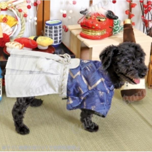 はかま 梵天 5〜6号 袴 犬 ペット 小さい 洋服 わんこの服 チワワ 可愛い 着物 正月 犬用 ...