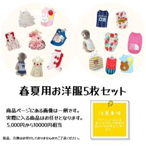 犬 服 犬服お任せ福袋 5枚セット メッシュ ...の詳細画像1
