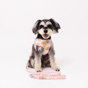 ミッフィー ハーネス 犬用ハーネス リード miffy リンゴ柄 りんご ハーネス 胴輪 犬服 小型犬 中型犬 おしゃれ かわいい キャラクター 犬グッズ ピンク