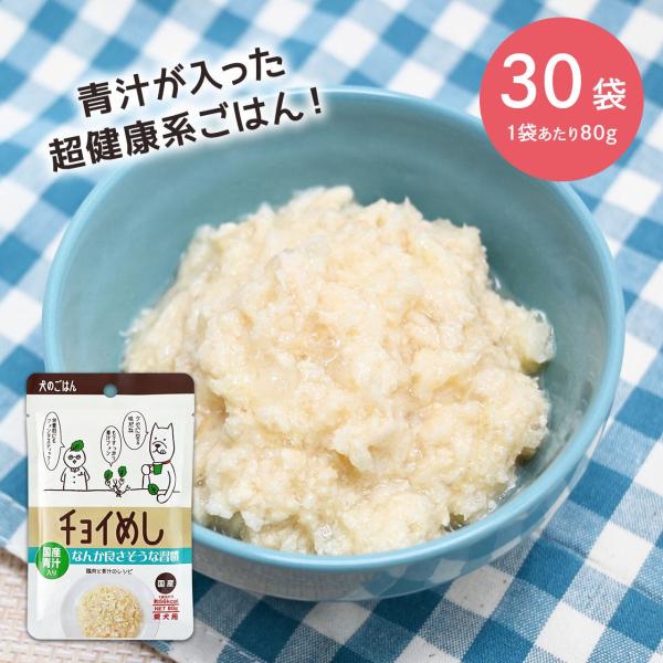 わんわん チョイめし なんか良さそうな習慣 80g　レトルト　犬　犬缶　フード　鶏肉　ケール　パウチ...