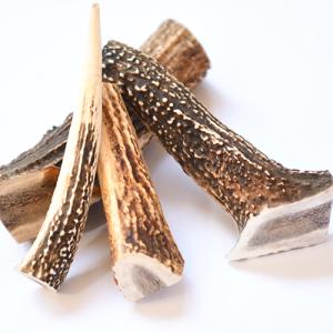鹿角】おまかせ 枝角 14cm〜16cm 用途自由 ペットおもちゃ