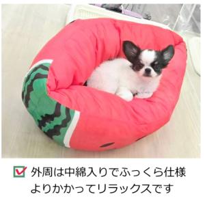 犬ベッド 犬猫用ベッド ひんやりサマーベッド ...の詳細画像3