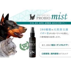 犬 口臭ケア 水に混ぜるの商品一覧 通販 Yahoo ショッピング