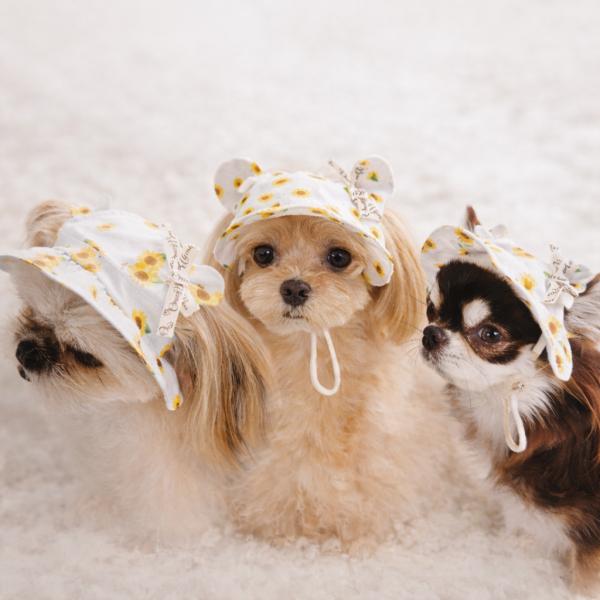 犬 帽子 犬用帽子 ひまわり柄 くま耳帽子 ペット帽子 ドッグハット 小型犬 犬用アクセサリー 夏用...