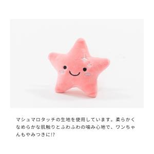 スター 星 犬 わんこのおもちゃ 小さい おも...の詳細画像1