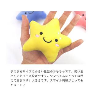 スター 星 犬 わんこのおもちゃ 小さい おも...の詳細画像2