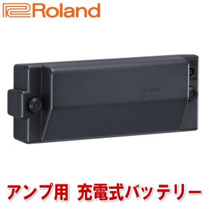 Rolandアンプ用 オプションバッテリー BTY-NIMH/A｜merry-net