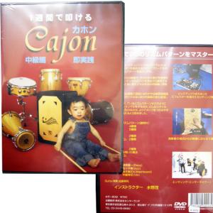 組立式カホン Easy CAJON 専用ケース付き/イージー カホン 組立式カホン Easy CAJON 専用ケース付き/イージー カホン