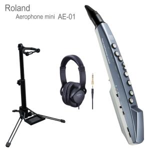 Roland ローランド デジタル管楽器 エアロフォンミニ Aerophone mini AE-01 スタンド ヘッドフォン付き｜merry-net