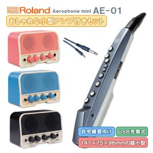 Roland Aerophone mini AE-01【初心者でも簡単に接続】Bluetooth機能付き おしゃれなレトロデザインの小型アンプ付き ウインドシンセ デジタル管楽器 電子楽器｜merry-net