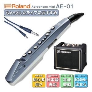 Roland Aerophone mini AE-01【初心者でも簡単に接続できる】日本語表記の操作パネル＆説明書が付いたアンプ付きセット ウインドシンセ デジタル管楽器 電子楽器｜merry-net