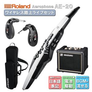 Roland Aerophone AE-20【初心者でも大丈夫！簡単に路上ライブが出来るセット】日本語操作パネルのアンプ付き ウインドシンセ デジタル管楽器 電子楽器｜merry-net