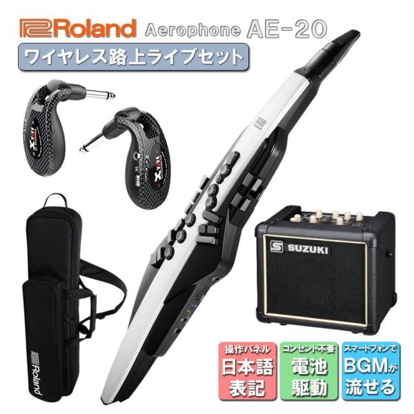 Roland Aerophone AE-20【初心者でも大丈夫！簡単に路上ライブが出来るセット】日本...