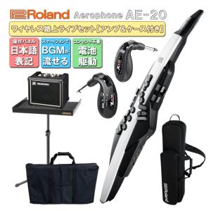 Roland Aerophone AE-20【初心者でも路上ライブが出来る】スピーカースタンド＆ケース 日本語操作パネルのアンプ付き ウインドシンセ デジタル管楽器 電子楽器｜merry-net