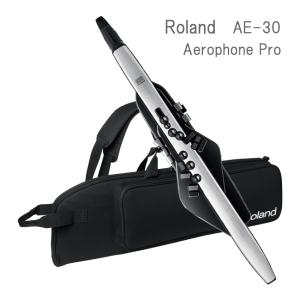 Roland エアロフォン プロ /AE-30 Aerophone Pro デジタル管楽器 ローランド エアロフォン AE30｜merry-net