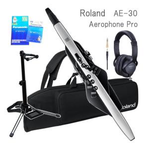 【電池6本付き】Roland ローランド Aerophone エアロフォン AE-30 スタンド/ヘッドフォン/ガイドブック付き｜merry-net