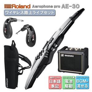 Roland Aerophone Pro AE-30【初心者でも大丈夫！簡単に路上ライブが出来るセット】日本語操作パネルのアンプ付き ウインドシンセ デジタル管楽器 電子楽器｜merry-net