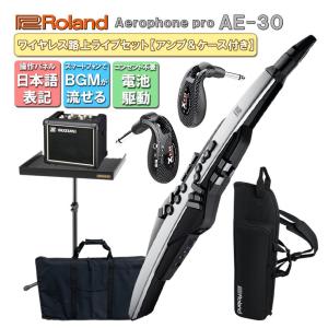 Roland Aerophone Pro AE-30【初心者でも路上ライブが出来る】スピーカースタンド＆ケース 日本語操作パネルのアンプ付き ウインドシンセ 電子楽器