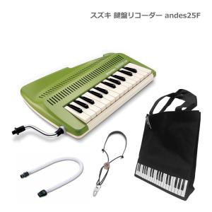 鈴木楽器製作所 限定品 スズキ 鍵盤リコーダー andes 25F