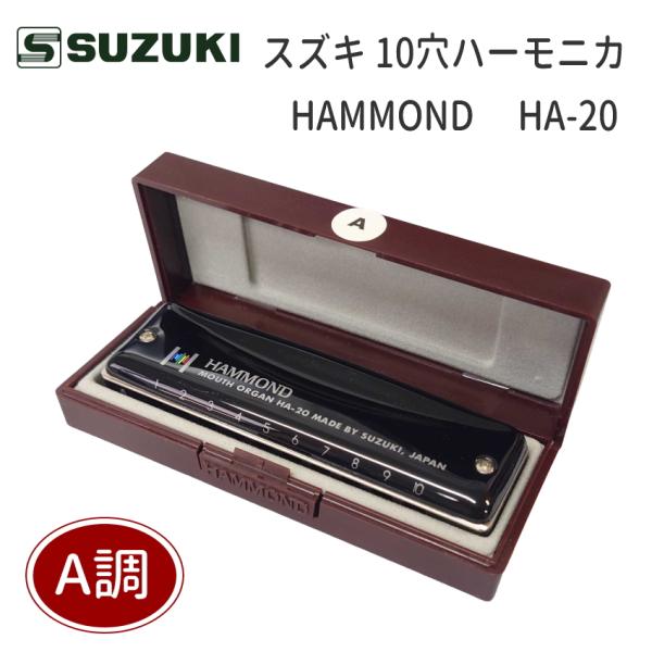 A調 スズキ 10穴ハーモニカ HAMMOND HA-20 ハモンド/ ブルースハープ / テンホー...