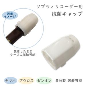 LP LP1436 エルピー ラップトップコンガ Laptop Conga : 楽器の