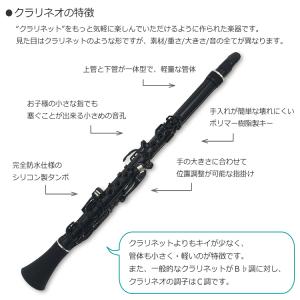 好評 Nuvo プラスチック製 クラリネット Clarineo クラリネオ ブラック N1clbk スタンド 入門セット付き ヌーボ N1clbk St Set 楽器のことならメリーネット 通販 Yahoo ショッピング 超美品 Fees Sathyabama Ac In