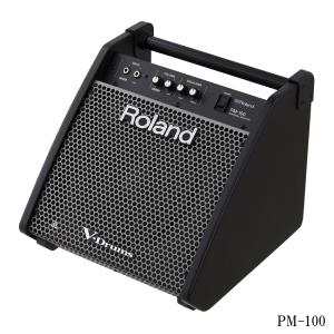 Roland PM-100 Personal Monitor パーソナルモニタースピーカー エレドラ｜merry-net