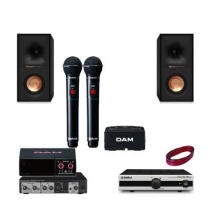 DAM カラオケスピーカーセット ピンク色ワイヤレスマイク2本付き DAM カラオケスピーカーセット ピンク色ワイヤレスマイク2本付き