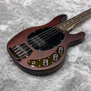 Sterling by MUSIC MAN エレキベース Ray4 Walnut Satin/R スティングレイ｜merry-net