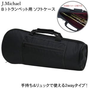 PROTEC(プロテック) M407 トロンボーン ミュートバッグ 6個収納 楽天市場】PROTEC ミュートバッグ トロンボーン用 6個収納可能